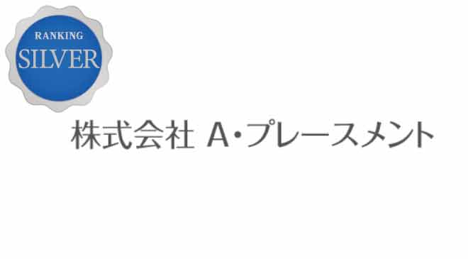 株式会社A・プレースメント_SILVER
