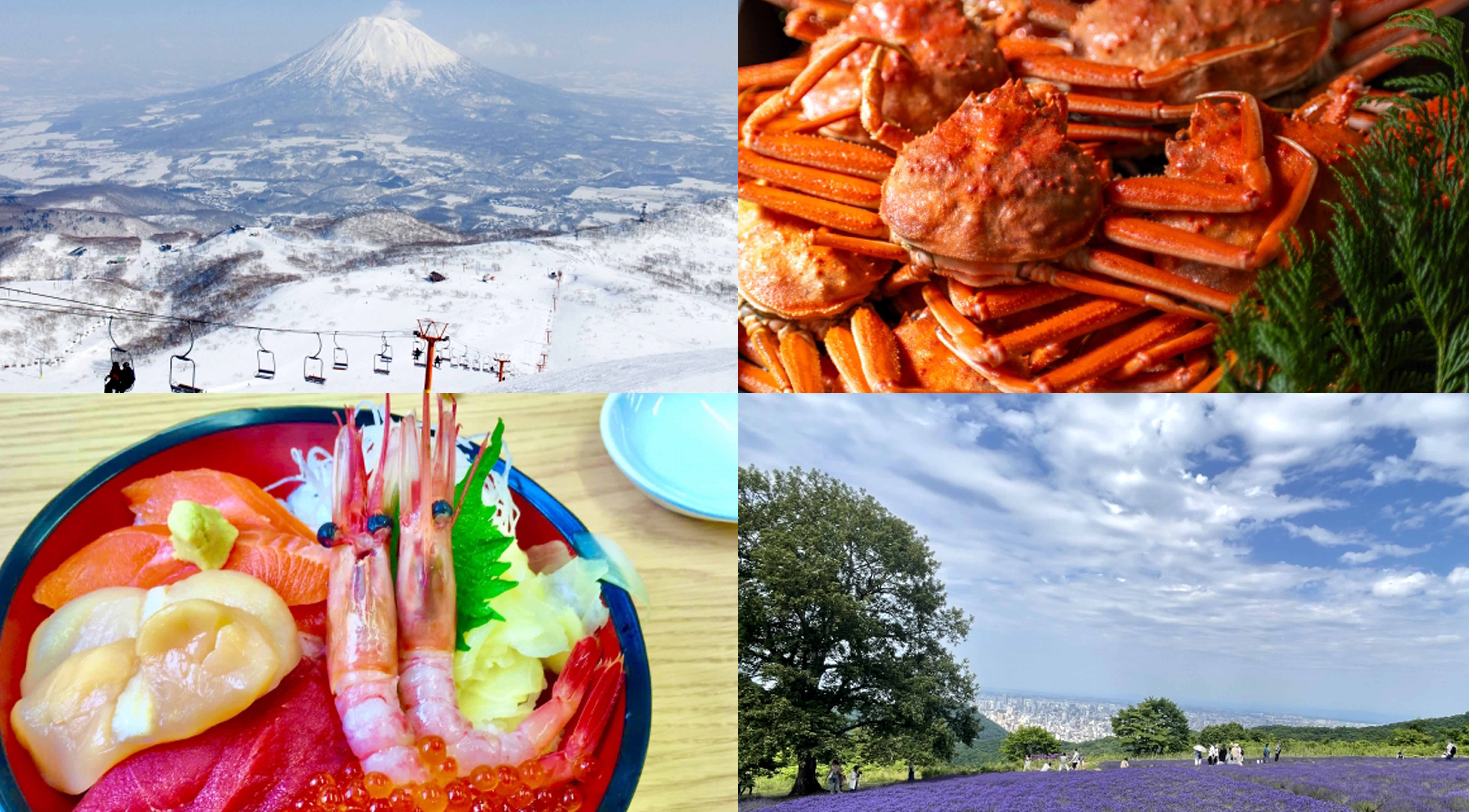 北海道の風景や食材