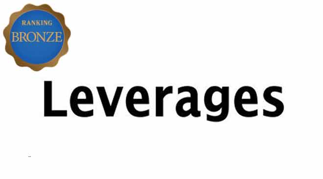 レバレジーズ株式会社ロゴ
